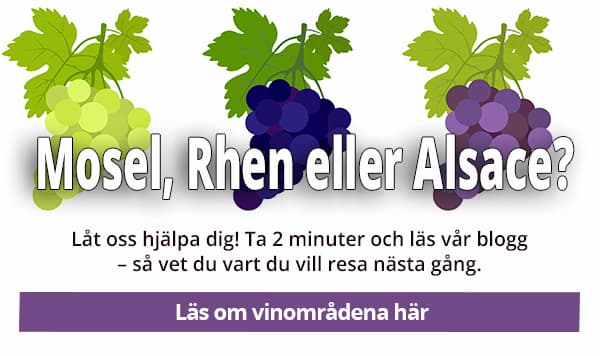 Läs om vinområdena Mosel, Rhen och Alsace
