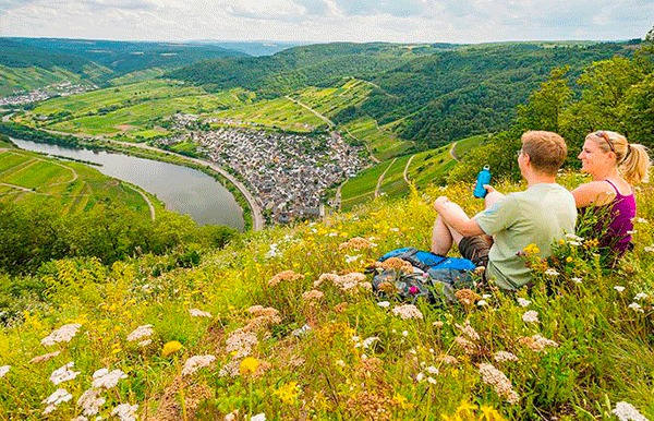 Vinferie ved Mosel, Sydtyskland