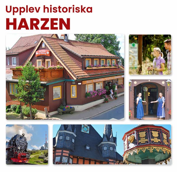 Semester i Harzen, Mittyskland