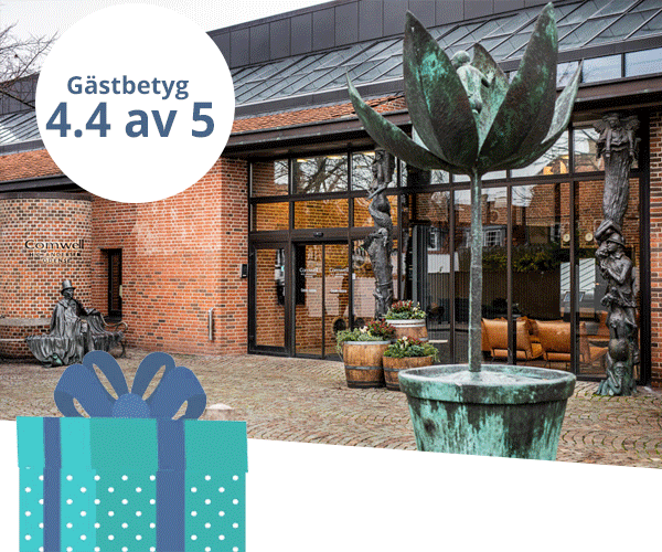 Weekendsemester i Odense