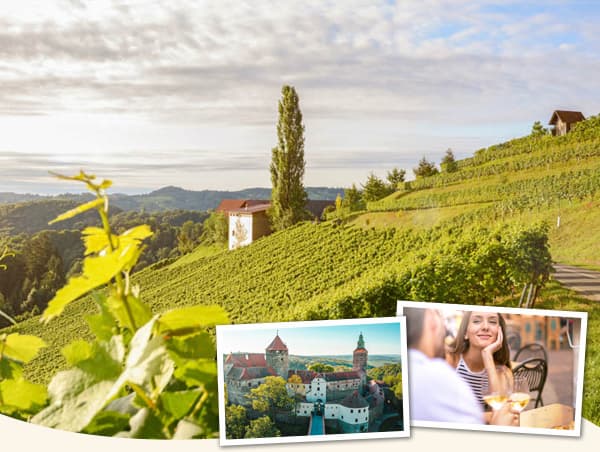 Vinferie i Burgenland – Østrigs smukkeste vindistrikt