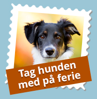 Se alle hundevenlige hoteller