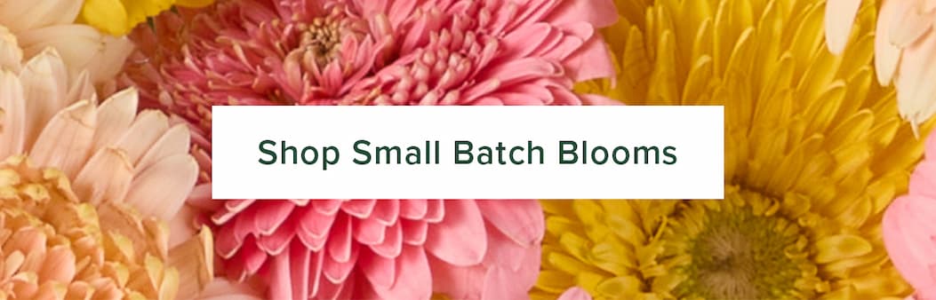 Shop Small Batch Blooms