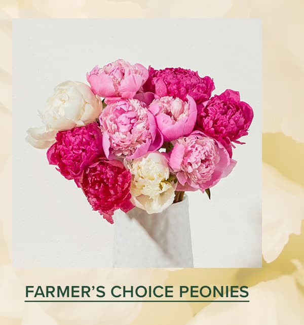 FARMER'S CHOICE PEONIES