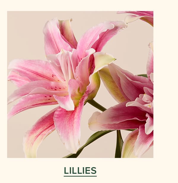 Lillies