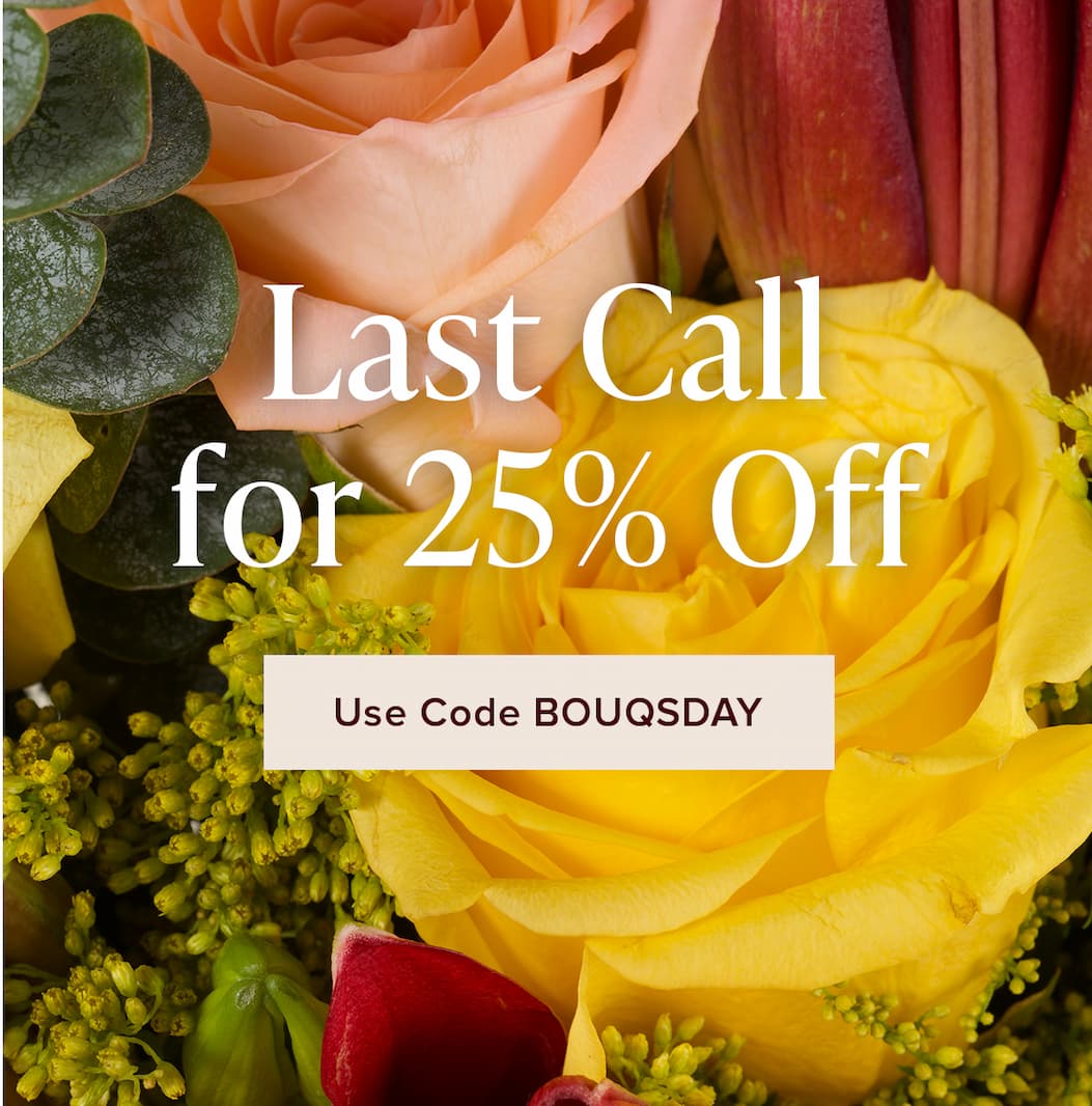 Last Call for 25% Off. Use Code BOUQSDAY