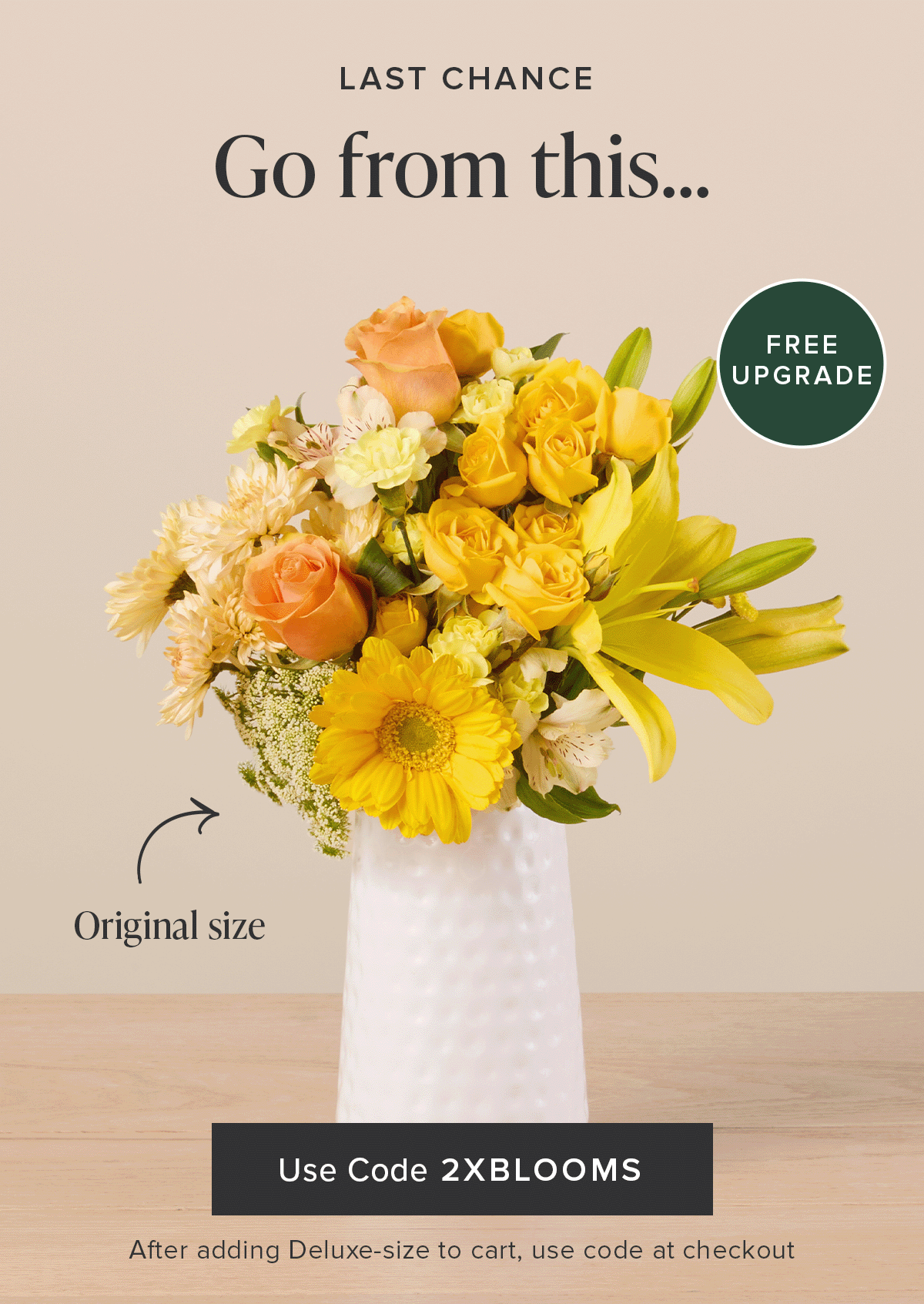 Free Upgrade Last Chance! Go from an original size....to a deluxe size for FREE. Use code 2XBLOOMS at checkout. 