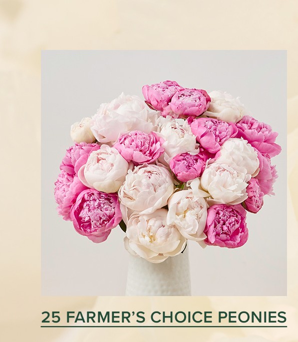 25 FARMER'S CHOICE PEONIES
