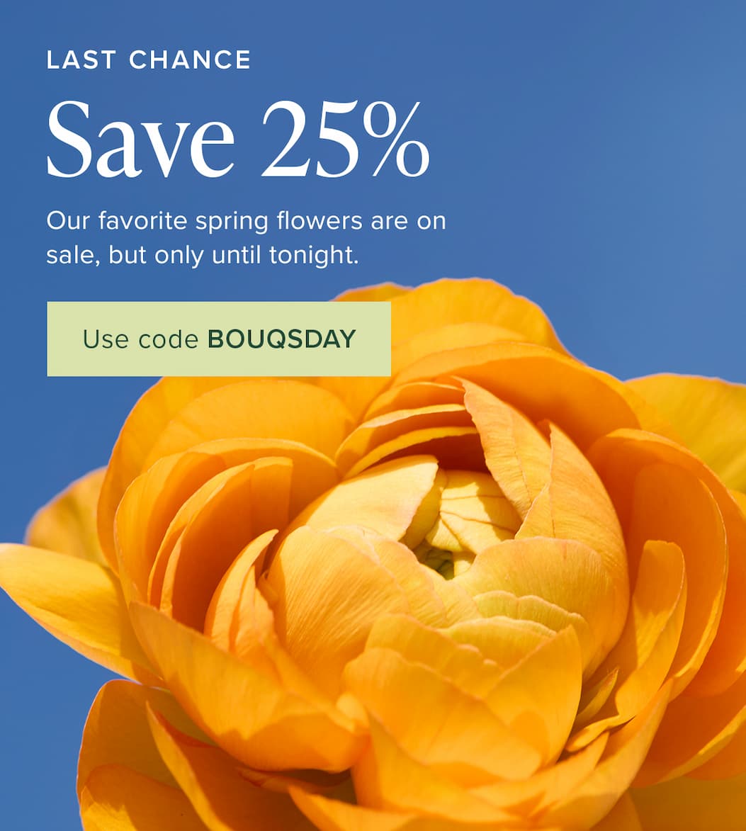 Last Chance to Save 25%! Our favorite spring flowers are on sale, but only until tonight. Use code BOUQSDAY