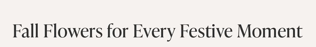 Fall Flowers for Every Festive Moment