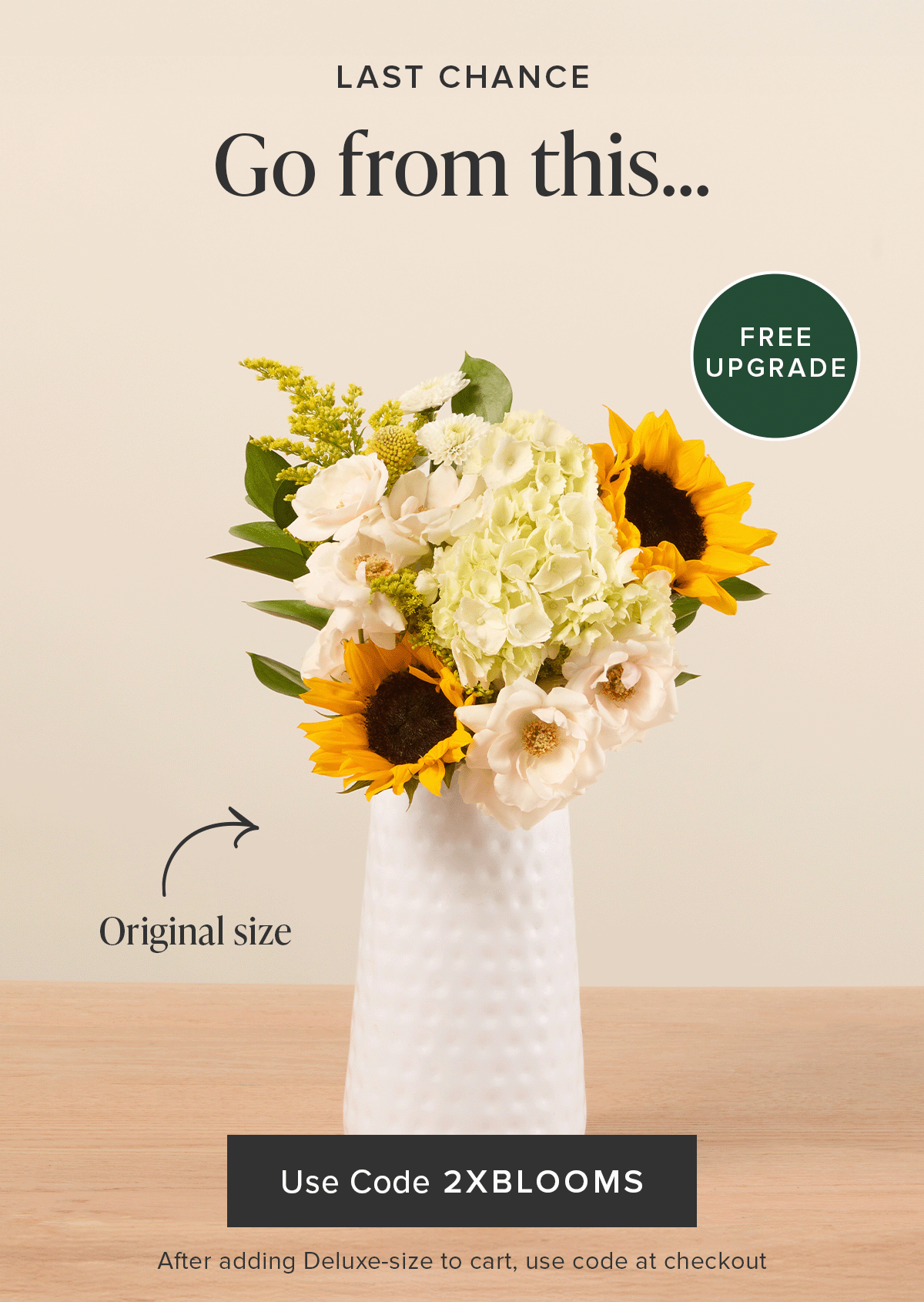 Last Chance for The Double Blooms Sale: Free Upgrade. Go from an Original Size bouq to a Deluxe for FREE. Use code 2XBLOOMS at checkout after adding a Deluxe-size to your cart. 