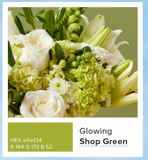 Shop Green