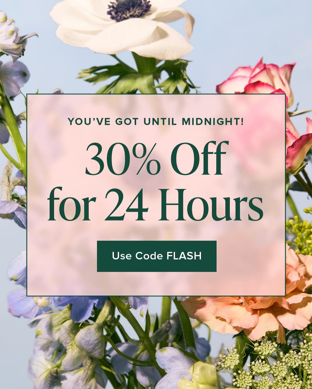 You've Got Until Midnight! 30% Off for 24 Hours. Use Code FLASH
