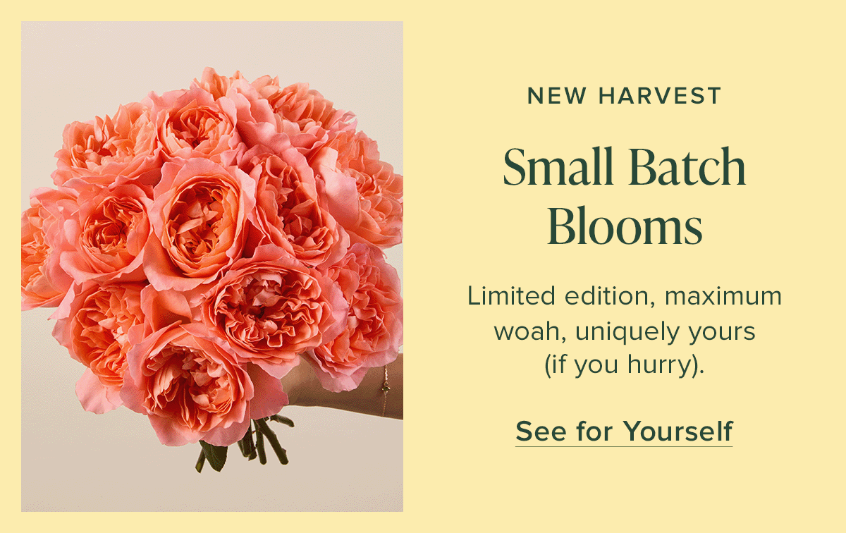New Harvest: Small Batch Blooms. Limited edition, maximum woah, uniquely yours (if you hurry). See for Yourself
