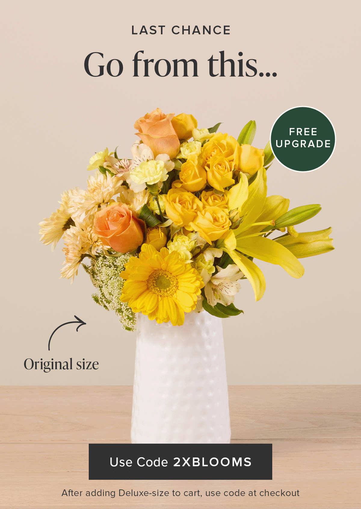 Free Upgrade Last Chance. Go from an original size to a deluxe for FREE. Use code 2XBLOOMS