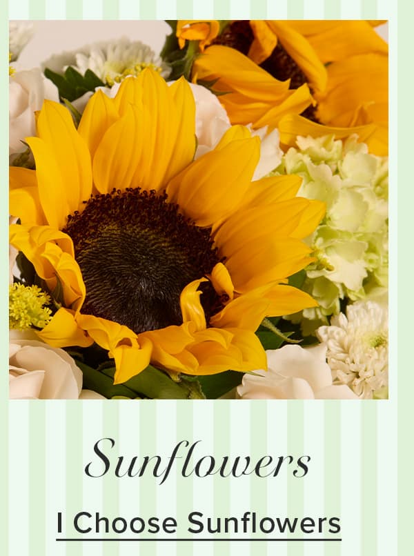 Shop Sunflowers