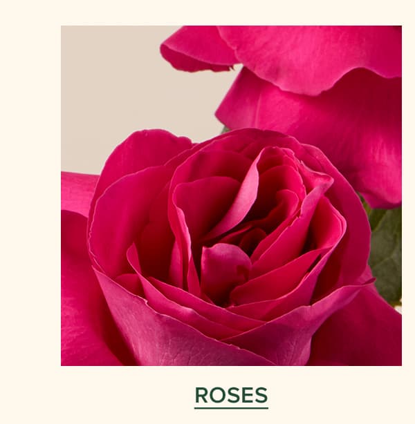 Roses