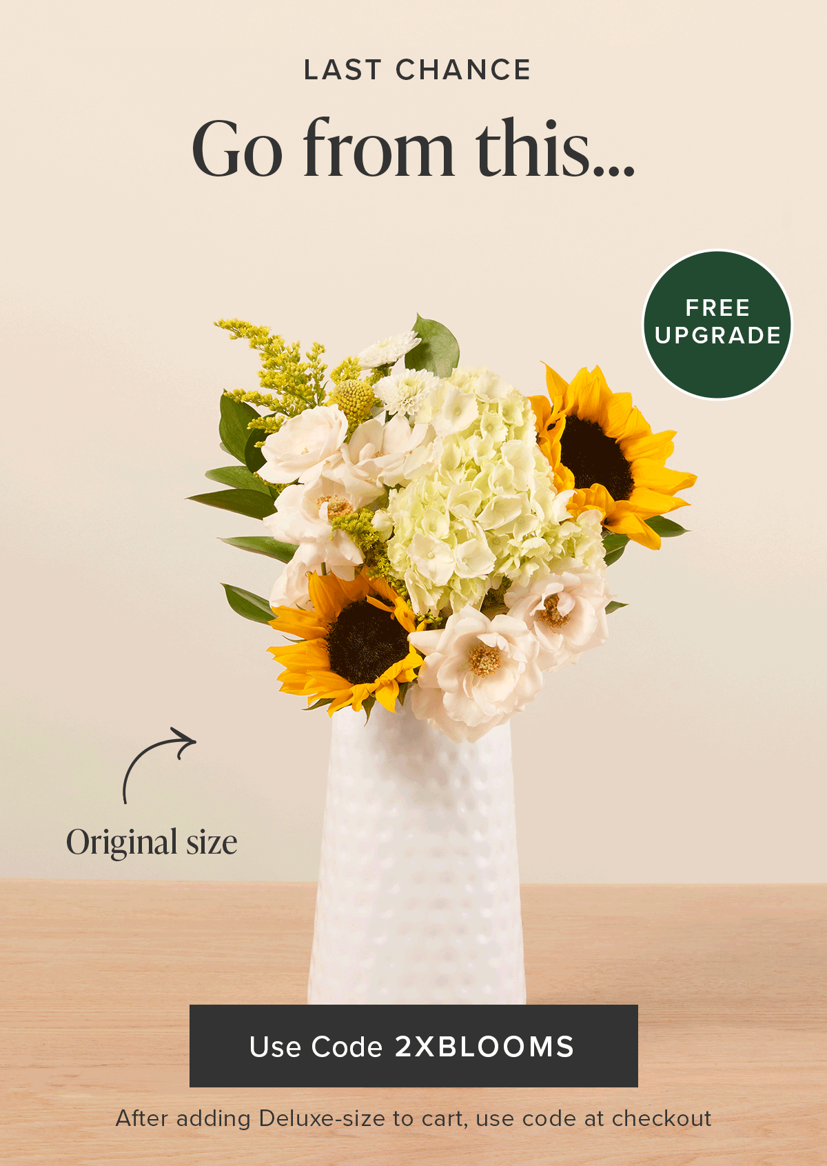 LAST CHANCE Go from this… To this…FOR FREE USE CODE 2XBLOOMS After adding Deluxe-size to cart, use code at checkout