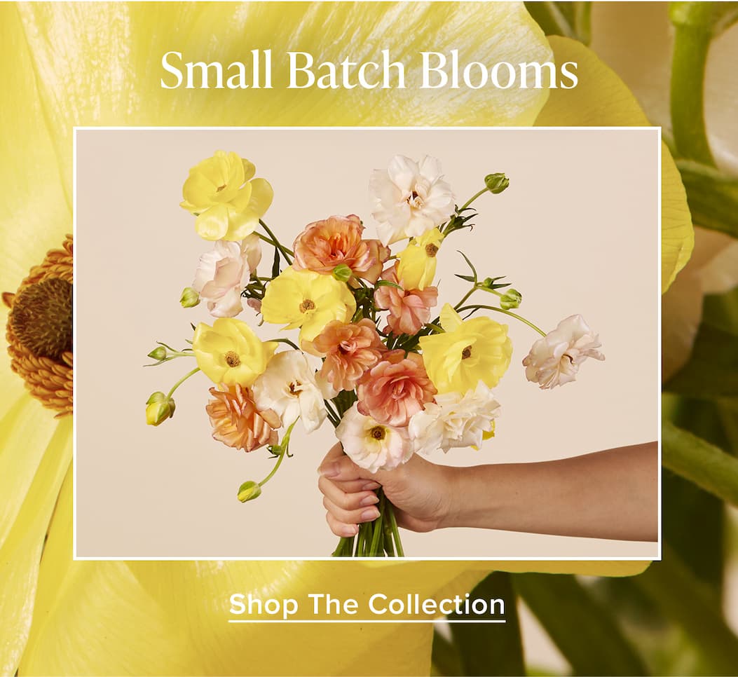 Small Batch Blooms. Shop The Collection