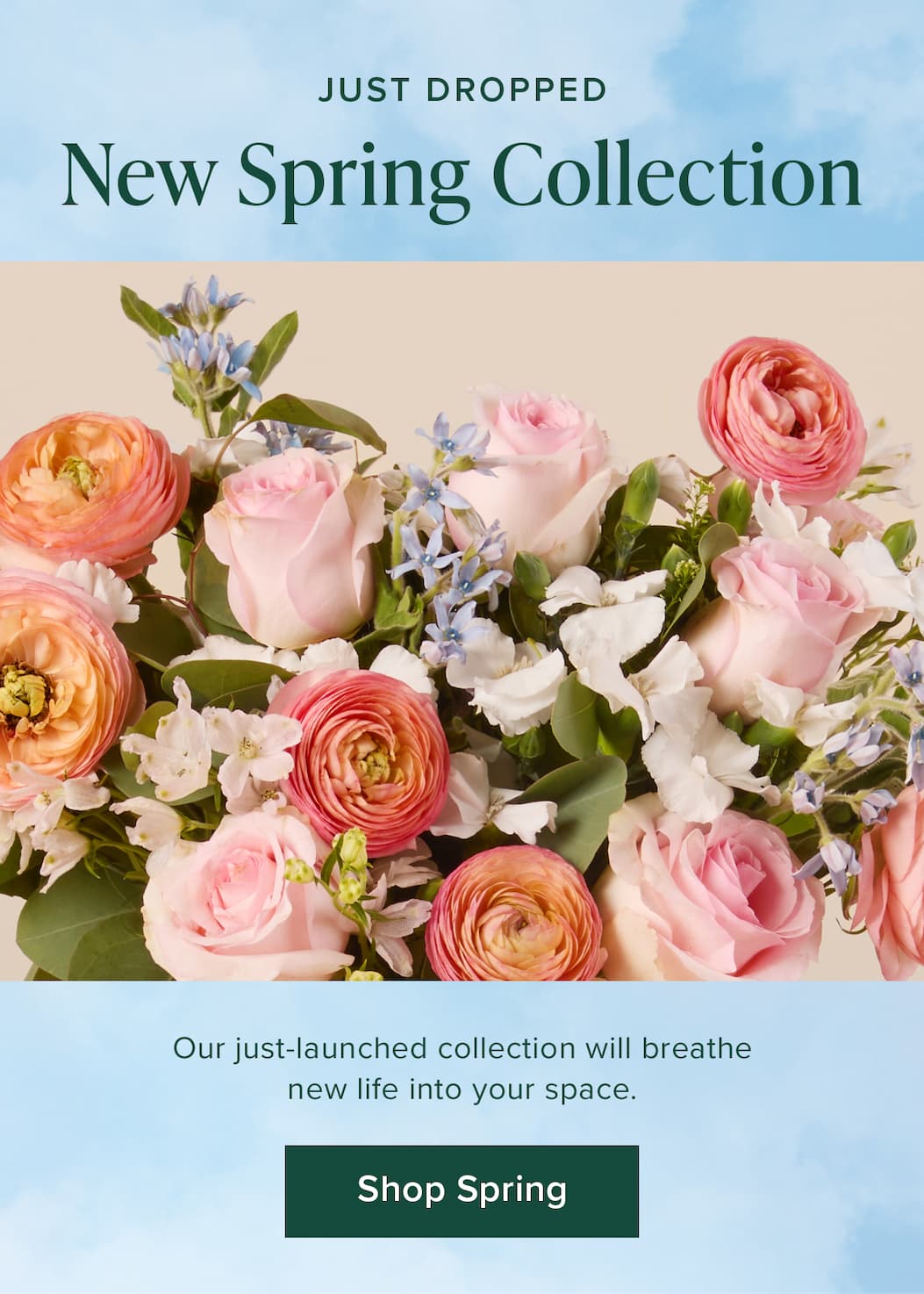 Just Dropped: New Spring Collection. Our just-launched collection will breathe new life into your space. Shop Spring