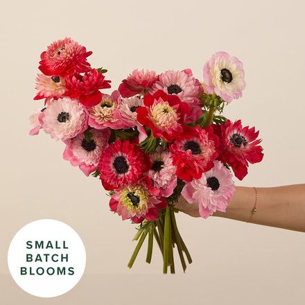 Supernova Anemones Bouq