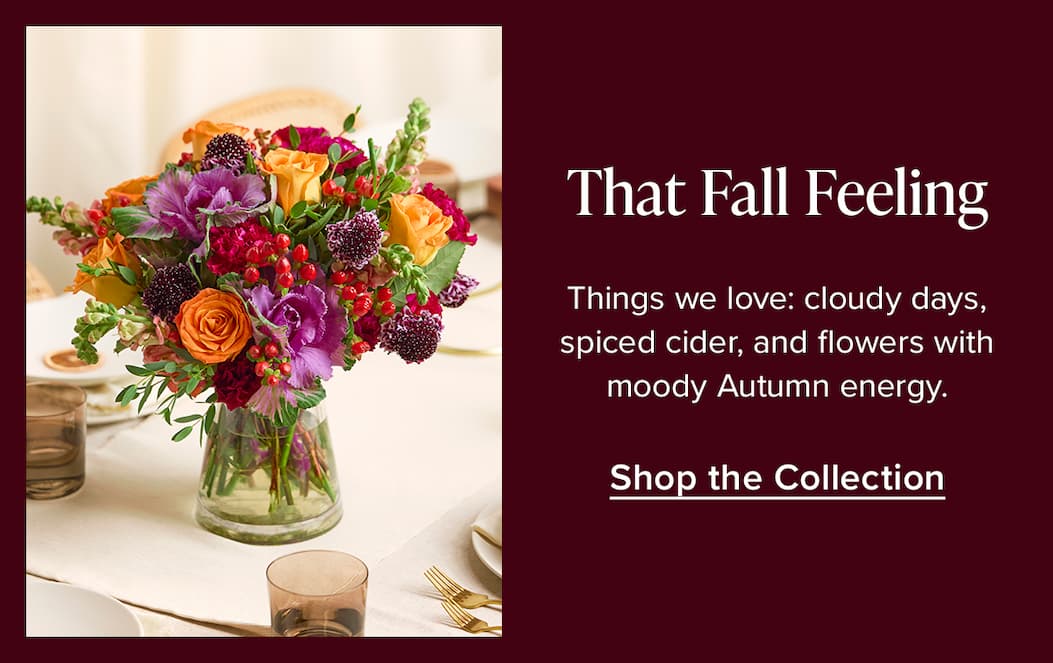 That Fall Feeling. Things we love: cloudy days, spiced cider, and flowers with moody Autumn energy. Shop the Collection. 