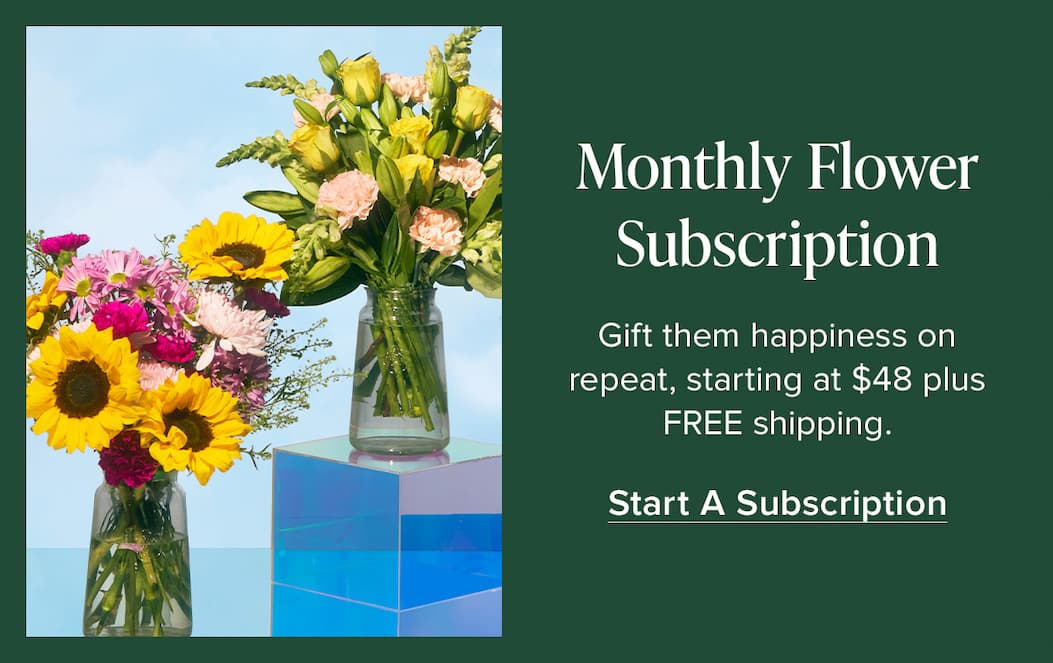 Monthly Flower Subscription. Gift them happiness on repeat, starting at $48 plus FREE shipping. Start A Subscription. 