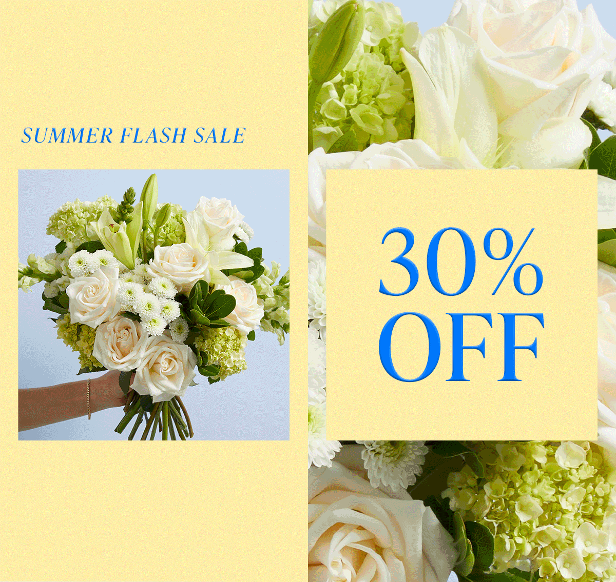 Summer Flash Sale: 30% Off. 