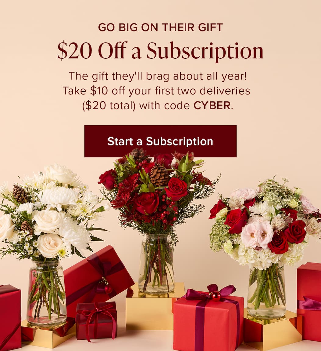 Go BIG on Their Gift: $20 Off a Subscription. The gift they'll brag about all year! Take $10 off your first two deliveries ($20 total) with code CYBER. Start a Subscription.  