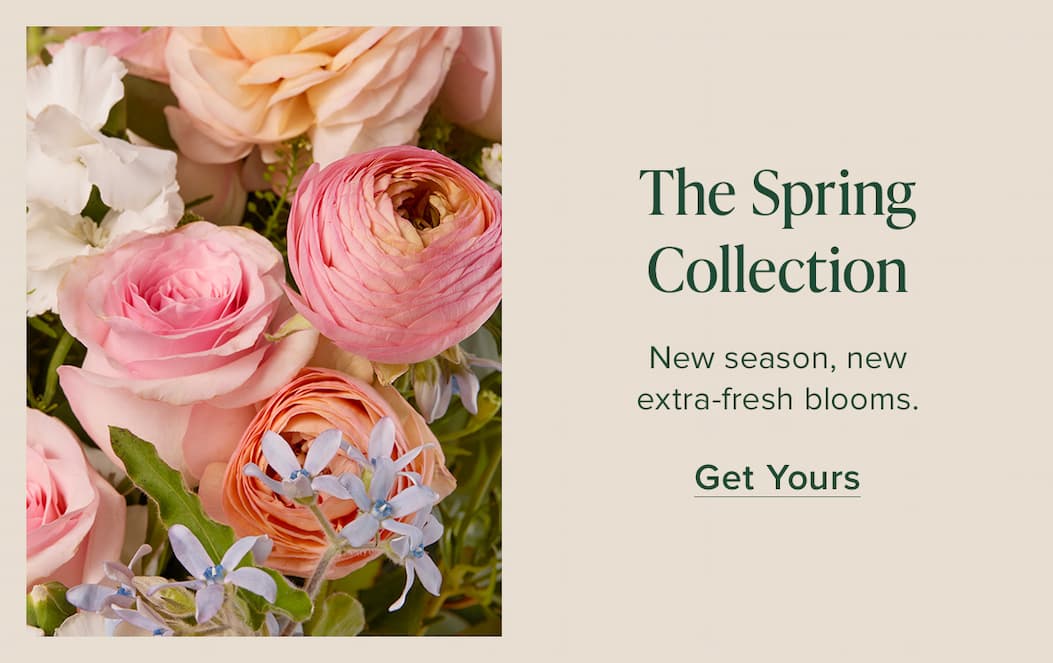 The Spring Collection. New season, new extra-fresh blooms. Get Yours