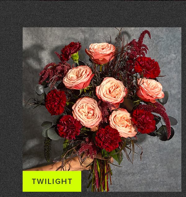 Twilight