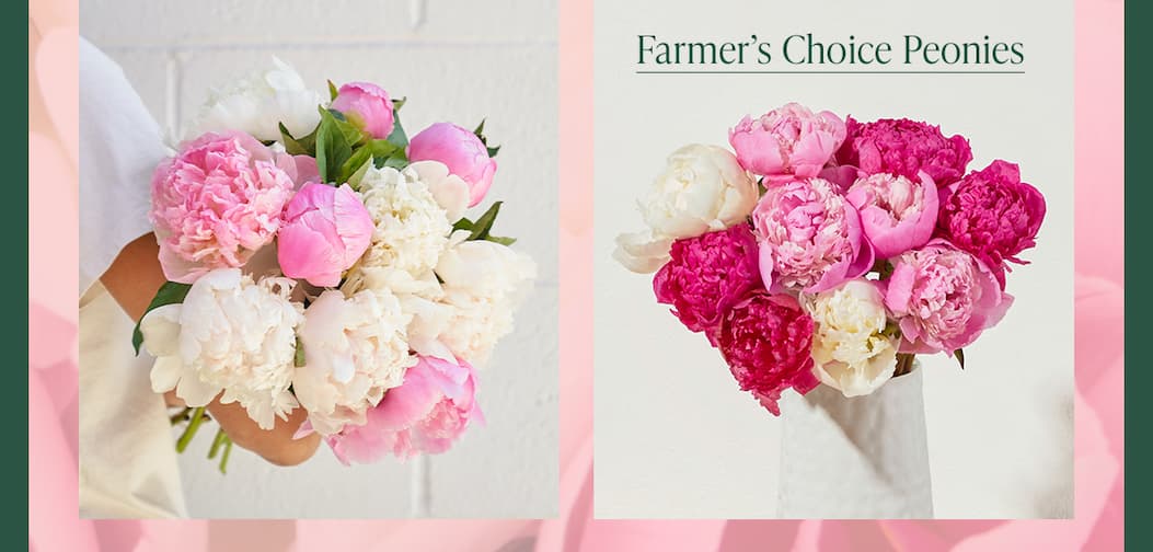 Farmer's Choice Peonies Bouq