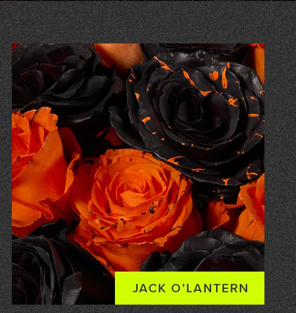 Jack O'Lantern