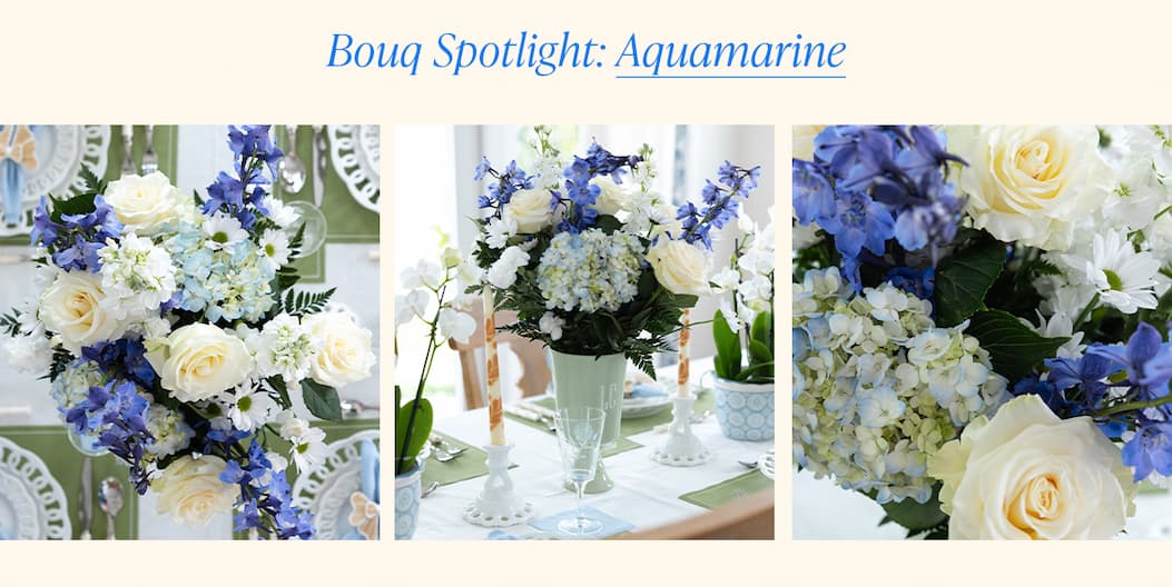 Bouq Spotlight: Aquamarine