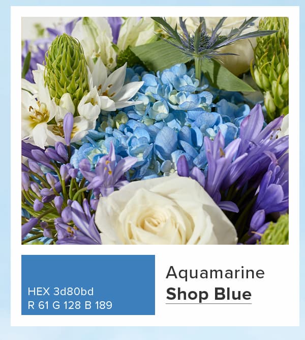 Shop Blue