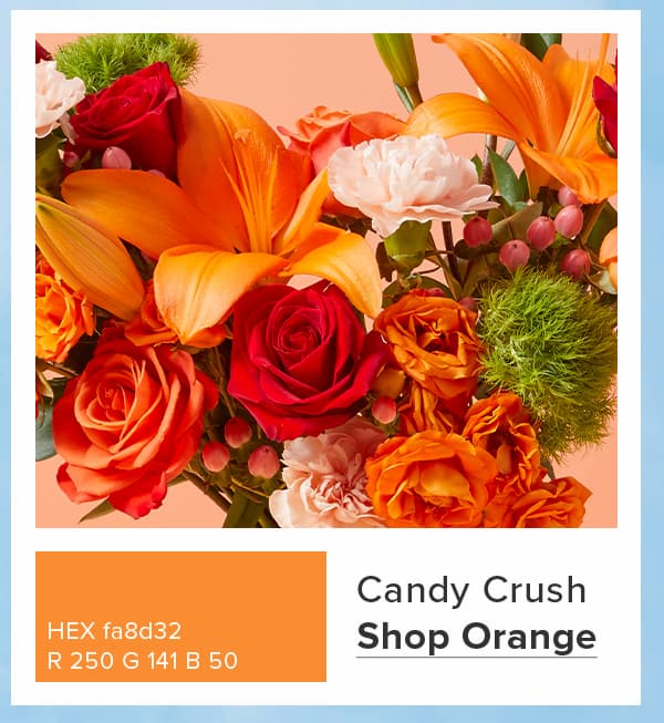 Shop Orange