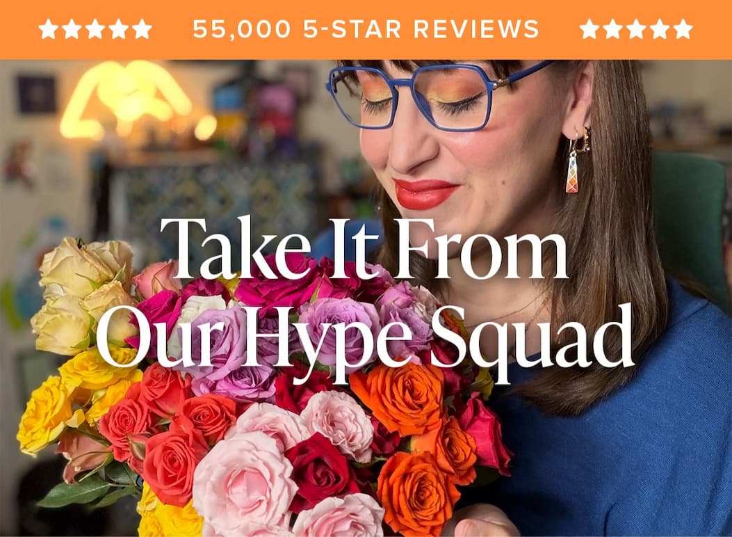 55k 5-Star Reviews! Take It From Our Hype Squad