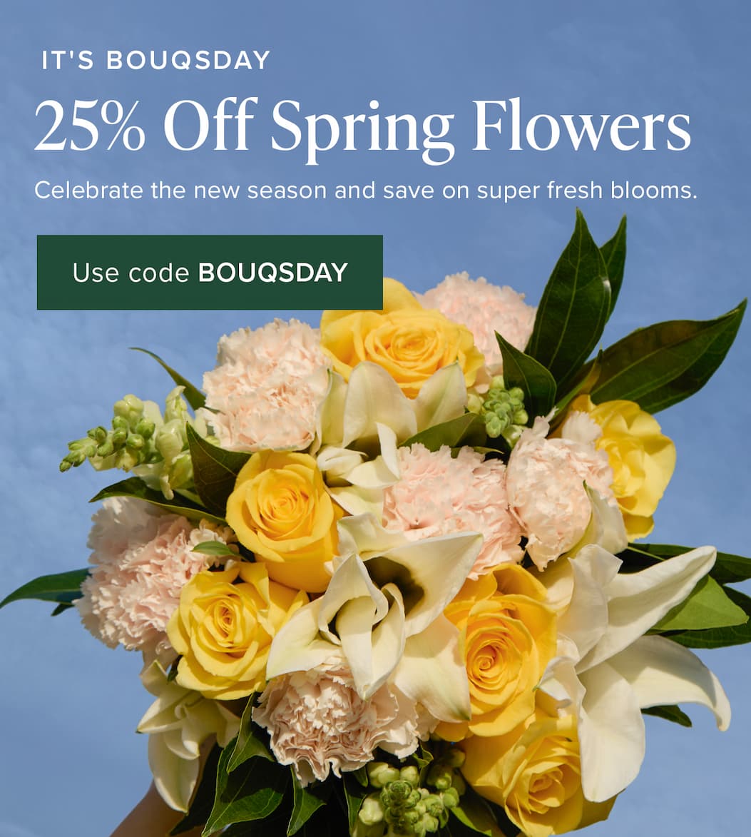 It's Bouqsday: 25% Off Spring Flowers. Celebrate the new season and save on super fresh blooms. Use code BOUQSDAY