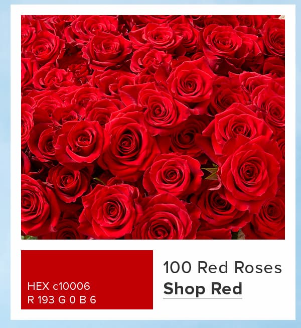 Shop Red