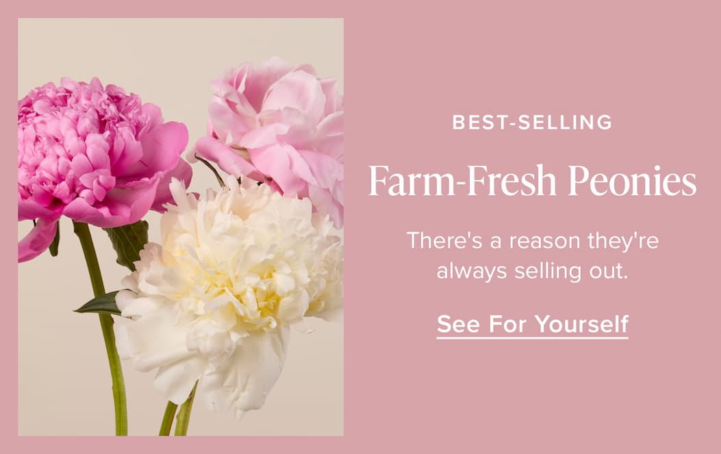 Best-selling: Farm-Fresh Peonies. There's a reason they're always selling out. See For Yourself. 