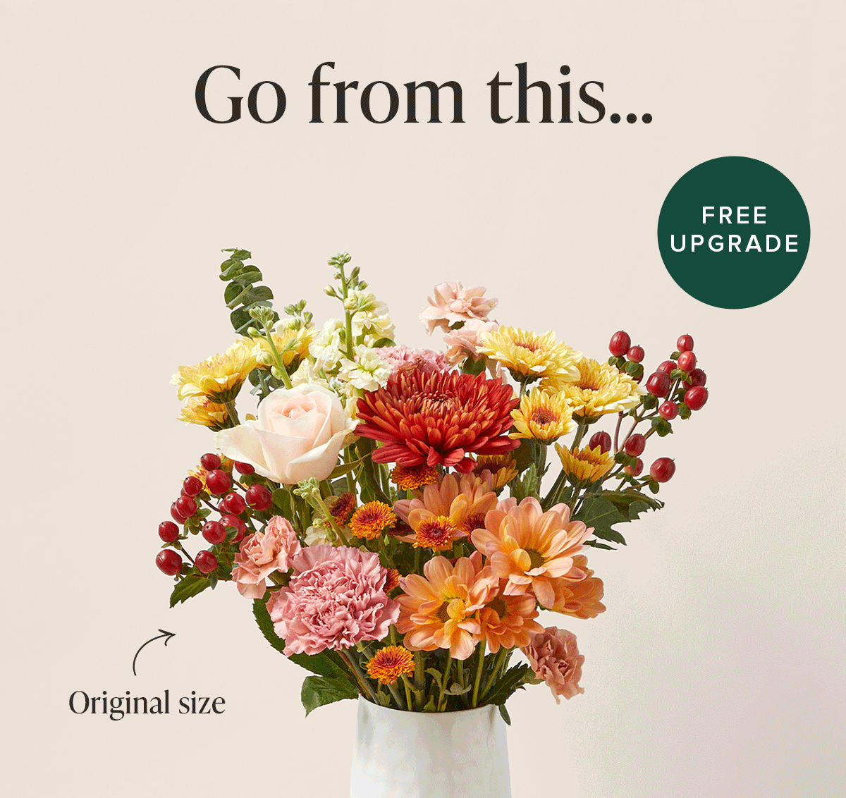 You deserve Double Blooms. Free Upgrade! Go from an original size to a deluxe for FREE. Use code 2XBLOOMS at checkout after adding a deluxe-size to your cart. 