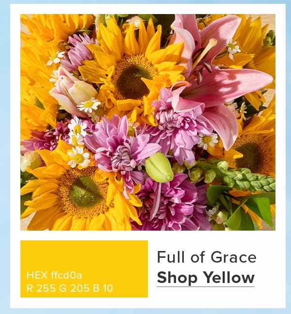 Shop Yellow