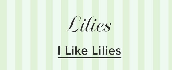 Shop Lilies