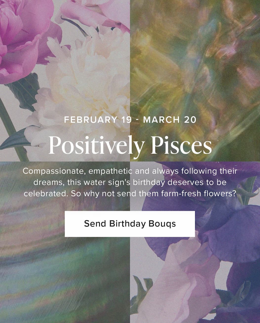 February 19- March 20: Positively Pisces. Compassionate, empathetic and always following their dreams, this water sign's birthday deserves to be celebrated. So why not send them farm-fresh flowers? Send Birthday Bouqs