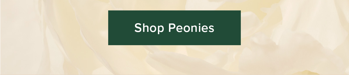 Shop Peonies
