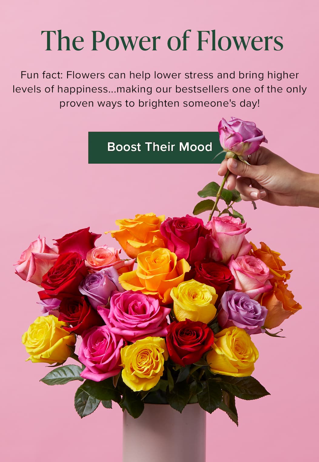 The Power of Flowers! Fun fact: Flowers can help lower stress and bring higher levels of happiness...making our bestsellers one of the only proven ways to brighten someone's day! Boost Their Mood