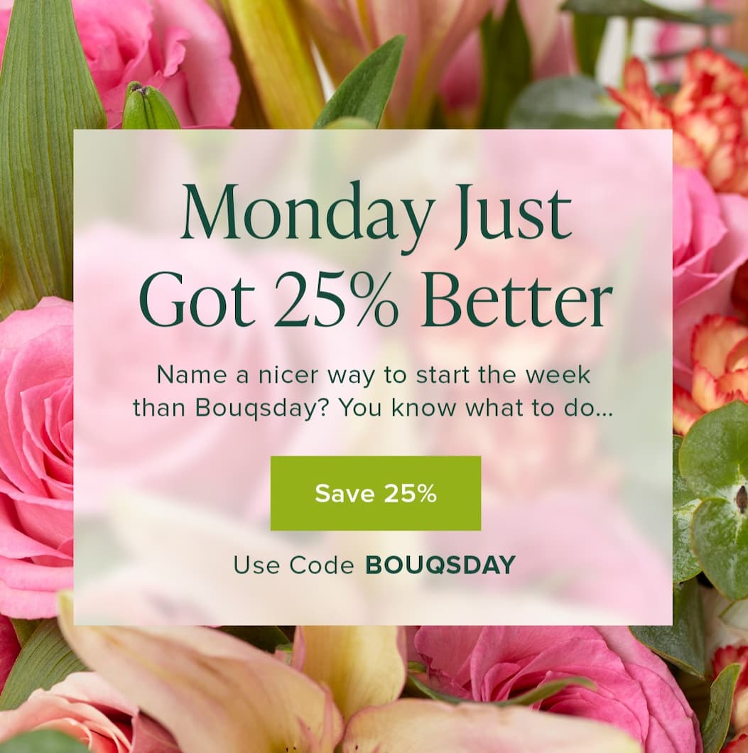 Monday Just Got 25% Better. Name a nicer way to start the week than Bouqsday? You know what to do... Save 25%! Use code BOUQSDAY