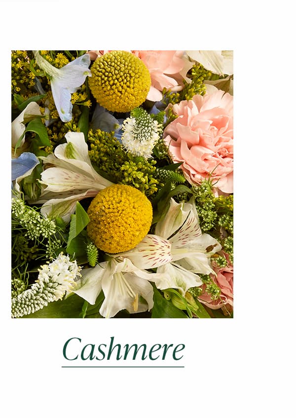Cashmere