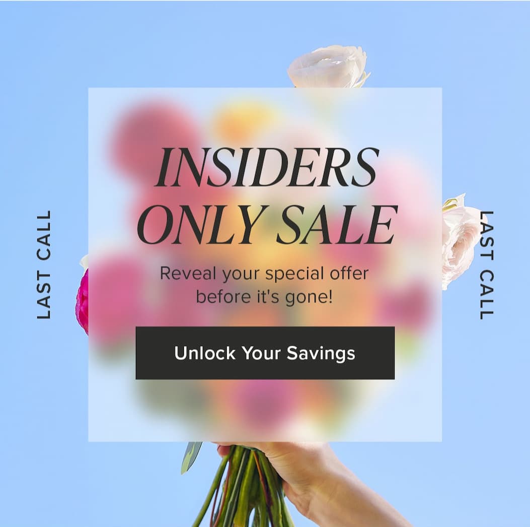 Last Call. Insiders Only Sale. Reveal your special offer before it's gone! Unlock Your Savings. 