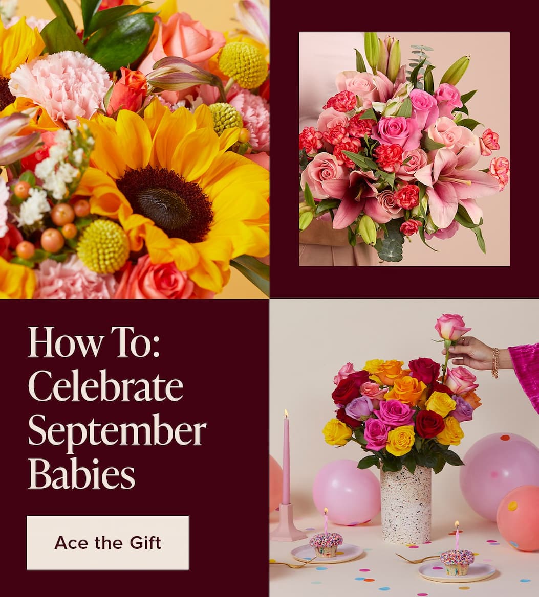 How To: Celebrate September Babies. Ace the Gift